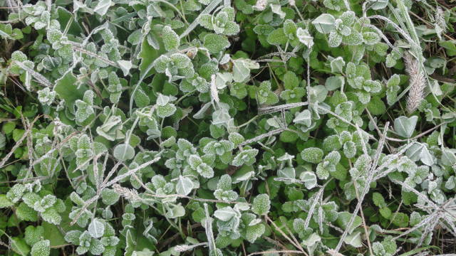 f0233414_22513043.jpg
