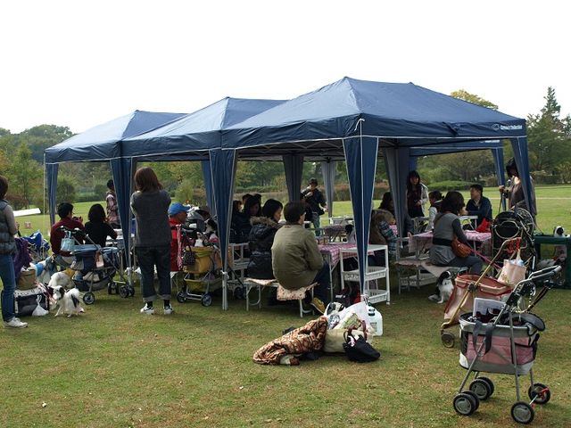 c0200916_054648.jpg