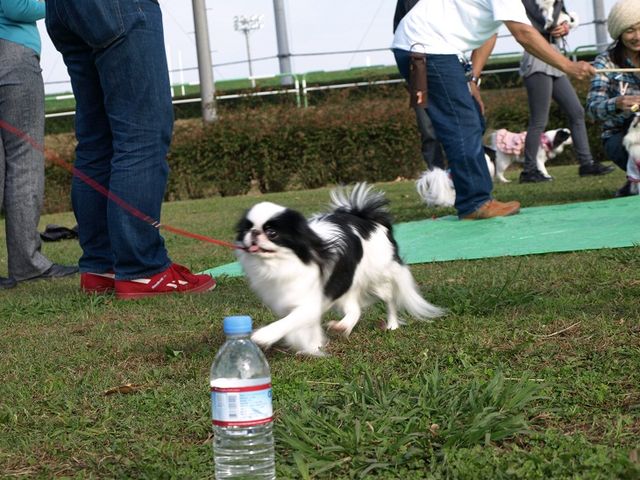 c0200916_0554461.jpg