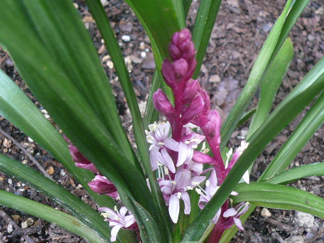 e0026017_1204038.jpg