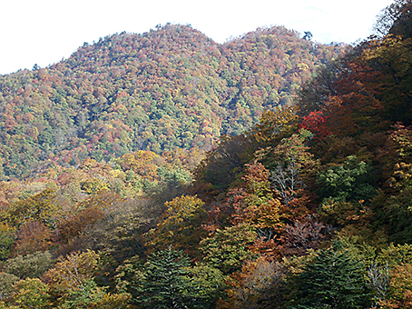 f0219718_17253690.jpg