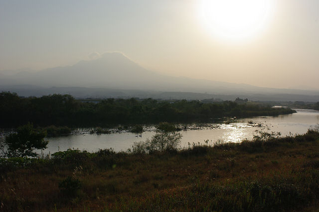 f0007926_955352.jpg