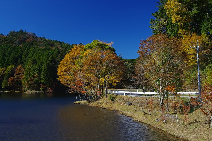 b0134829_2125045.jpg