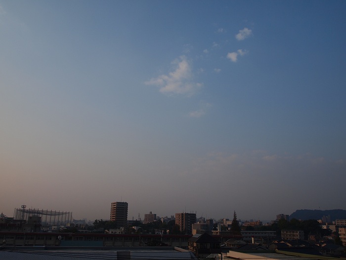 a0146442_815388.jpg
