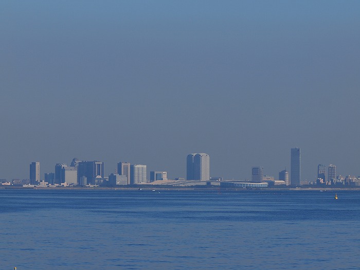 a0106043_23141168.jpg