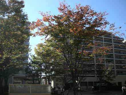 f0107145_1340219.jpg