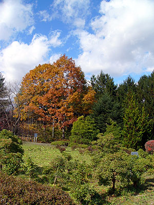 a0074650_2361878.jpg