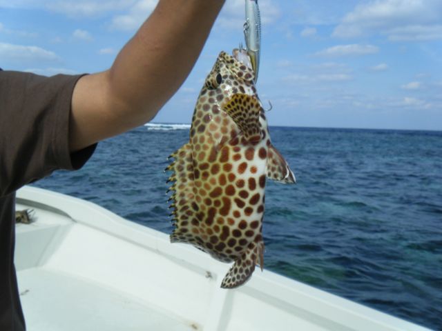 e0134752_11115125.jpg