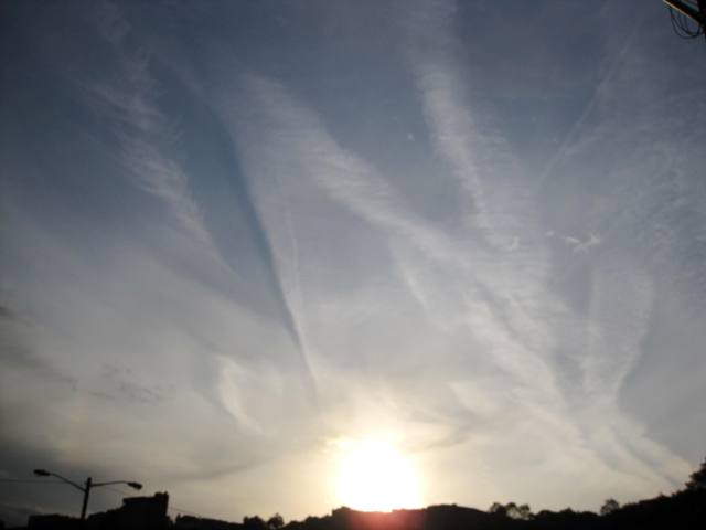 b0173754_10343752.jpg