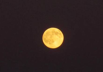 b0173754_10385552.jpg