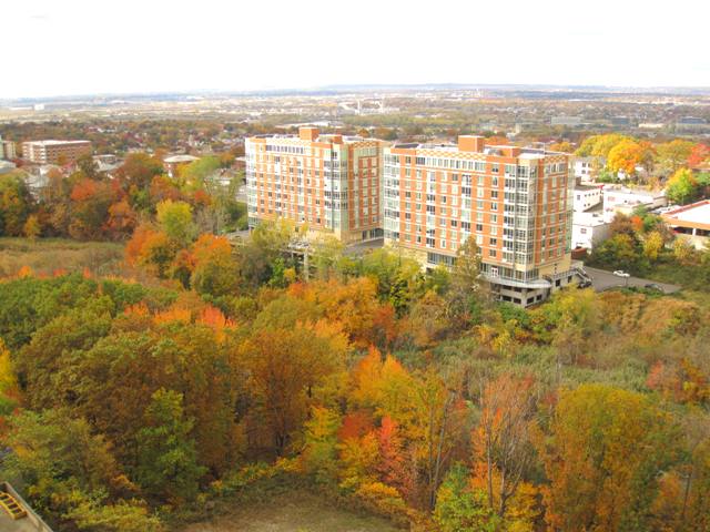 b0173754_10461360.jpg