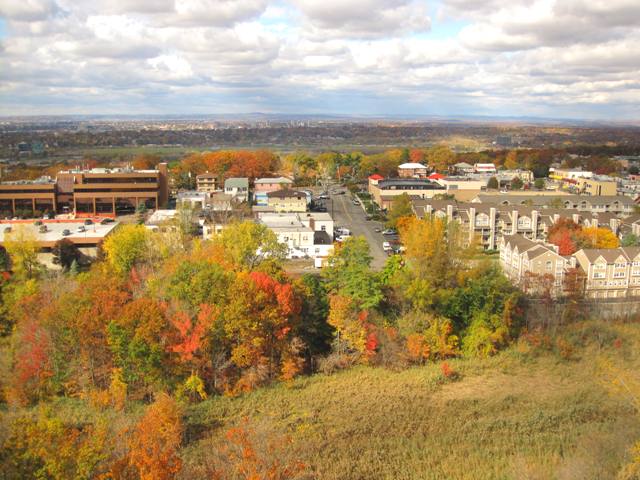 b0173754_10462485.jpg