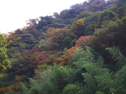 c0224154_21542918.jpg