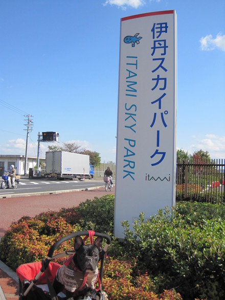 e0126054_1244625.jpg