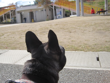 e0126054_1247557.jpg