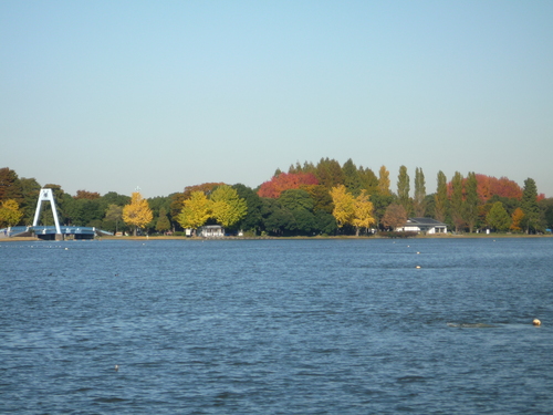 a0157156_2341476.jpg