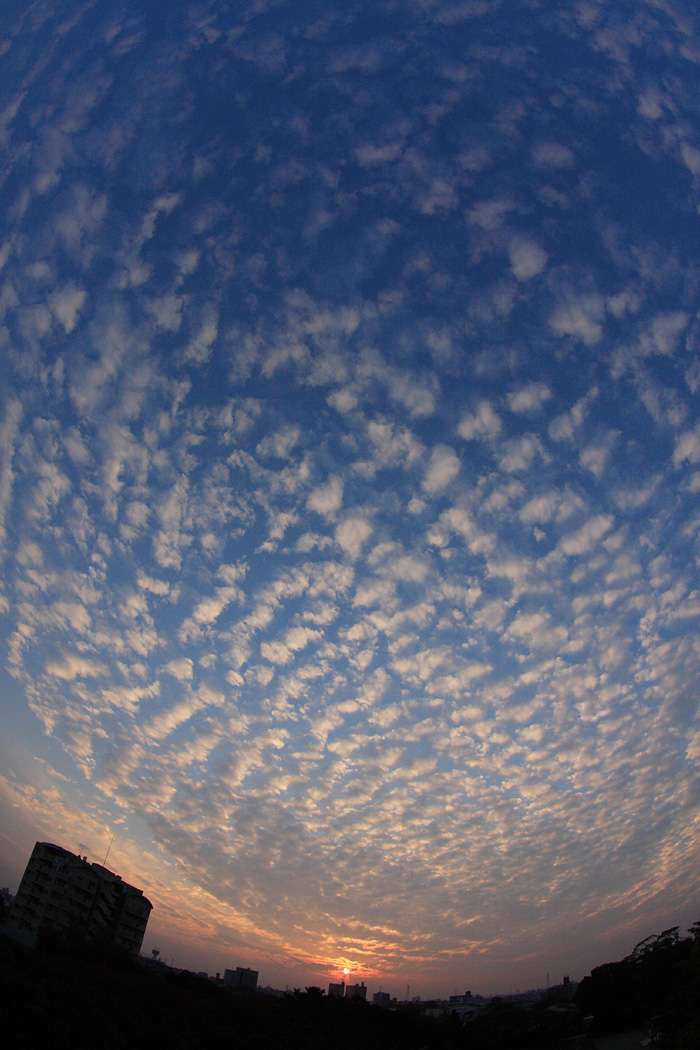 d0148060_17334226.jpg