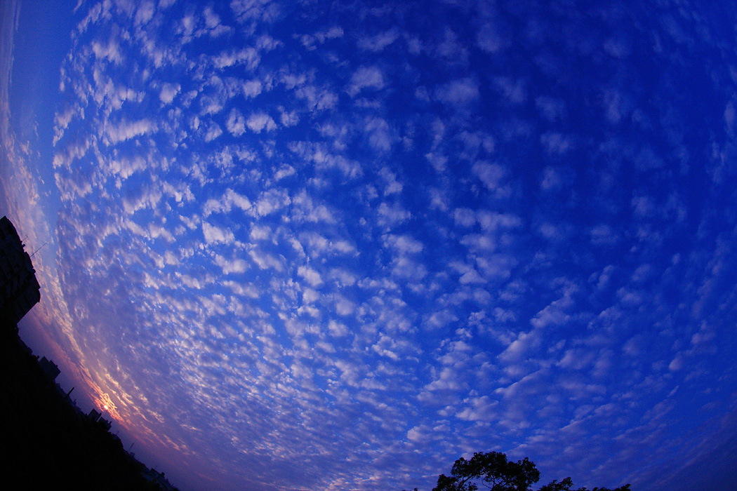 d0148060_17342129.jpg