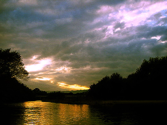 f0084561_16363621.jpg