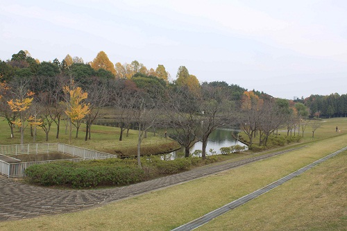 f0181462_1656575.jpg