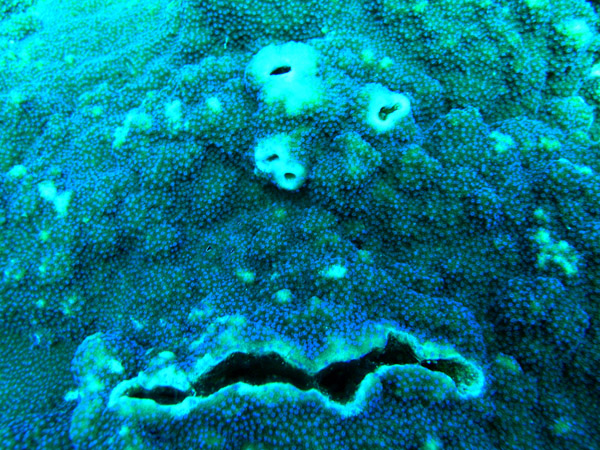 b0062363_3584737.jpg