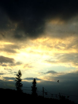 c0050264_12214996.jpg
