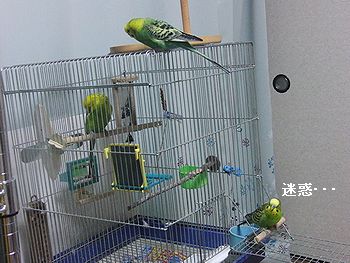f0196665_23582474.jpg