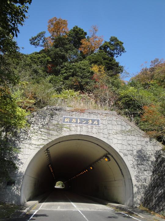 f0016066_1746121.jpg