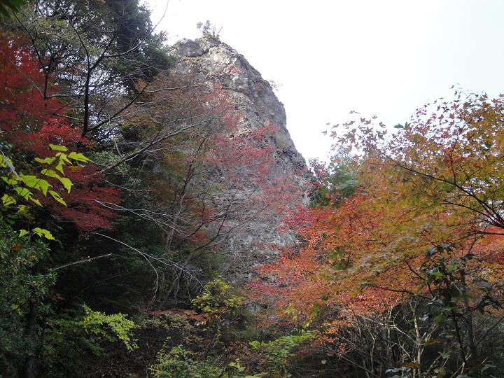 f0016066_1873684.jpg