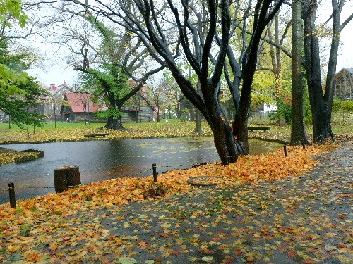 d0084473_2059323.jpg