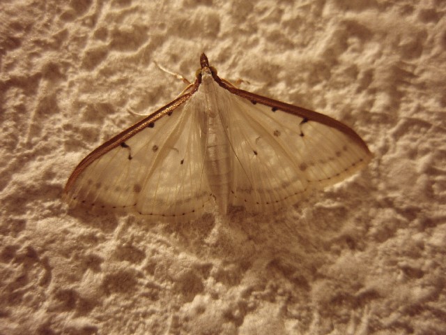 d0162276_14181490.jpg