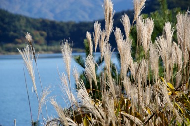 d0080882_10504530.jpg