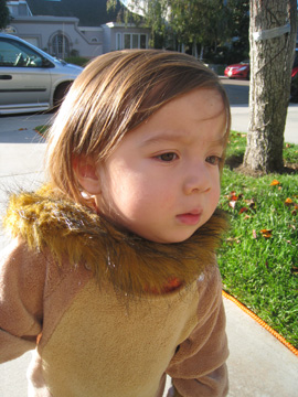 f0068883_15354821.jpg