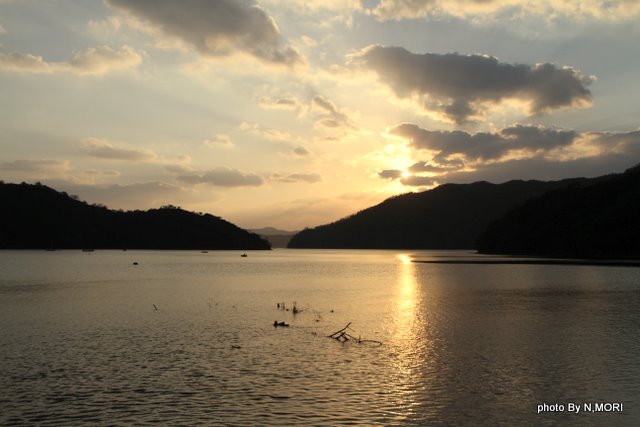 b0115085_21532670.jpg