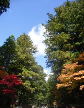 f0165392_20295422.jpg