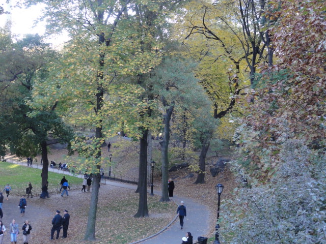 e0196493_17294245.jpg