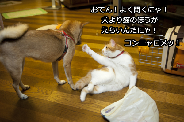 b0141397_1033254.jpg