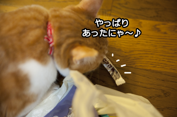 b0141397_1033296.jpg