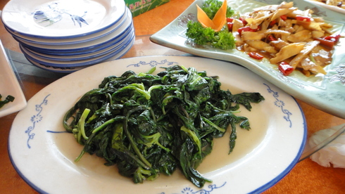 d0122797_15515149.jpg