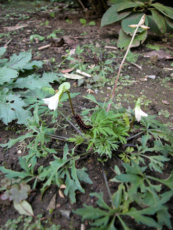 f0239100_15255618.jpg