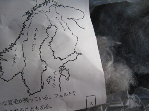 e0033301_17223930.jpg
