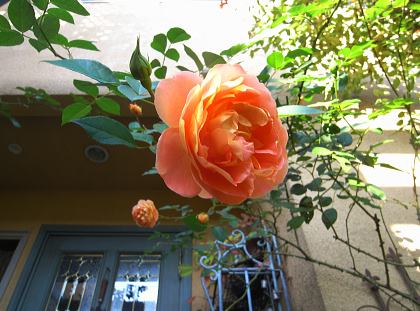 f0065604_20173272.jpg
