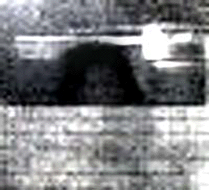 e0103408_10593285.gif