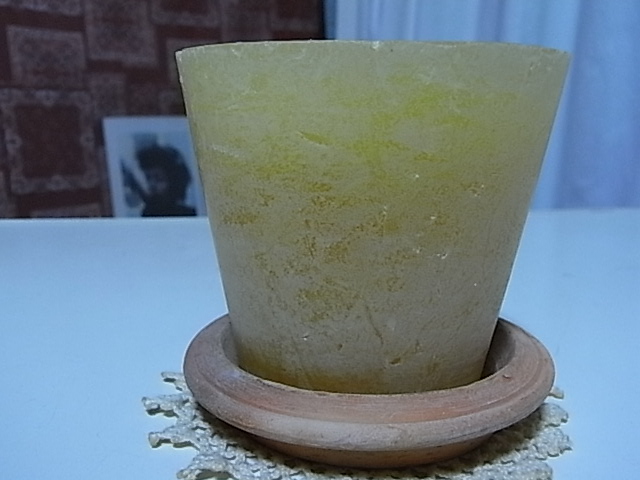 e0203009_038526.jpg