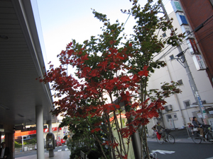 e0211409_2249568.jpg