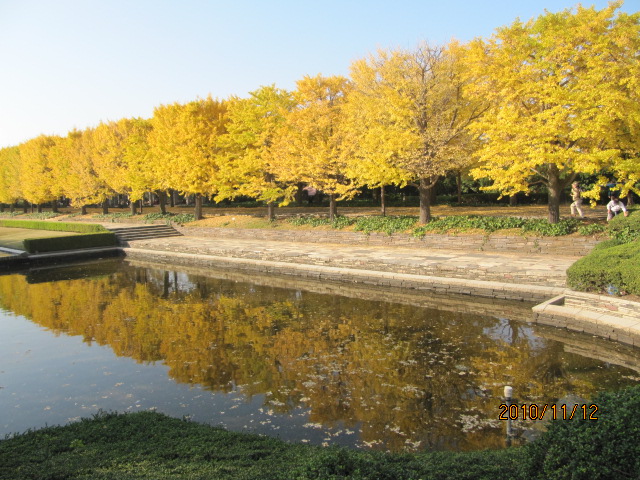 c0200916_223442100.jpg