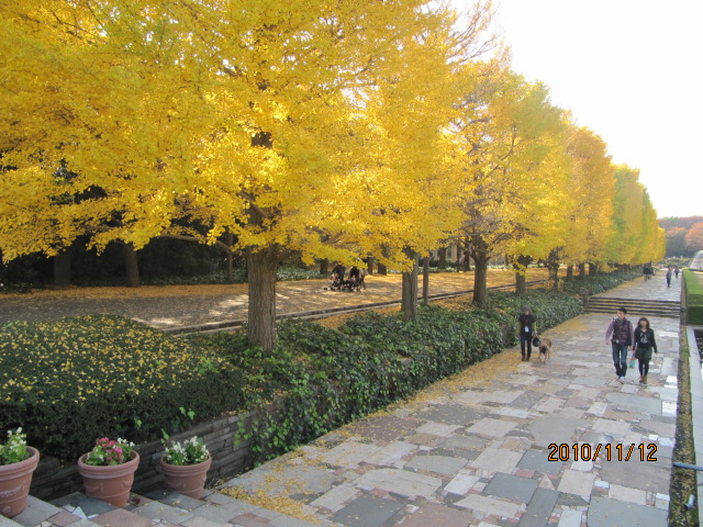 c0200916_2235243.jpg