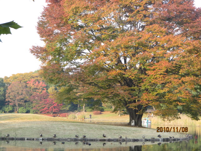 c0200916_22374141.jpg