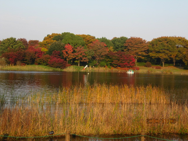 c0200916_22383195.jpg