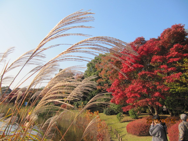 c0200916_22404499.jpg